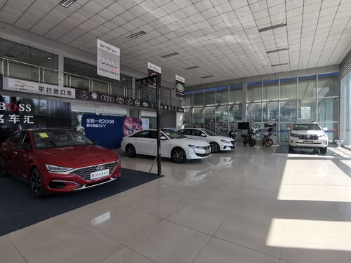 汽車銷售精英 專業素養與卓越服務的締造者